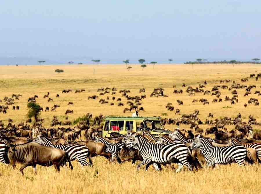 6 days kenya game safari